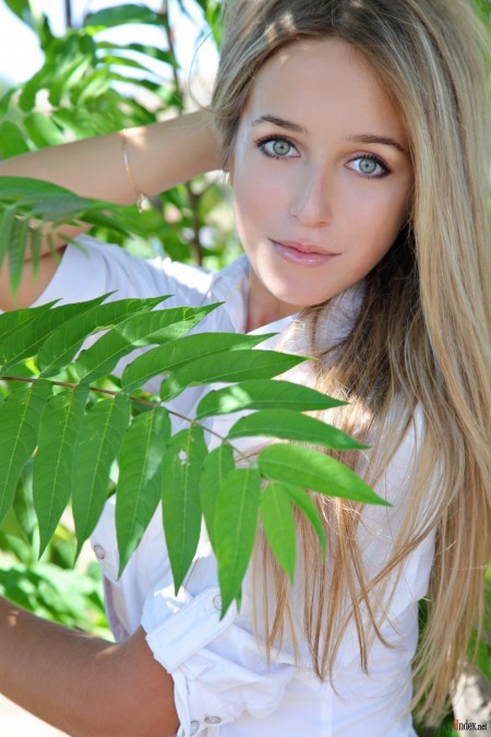 Эллис А: Летняя Красота Природы