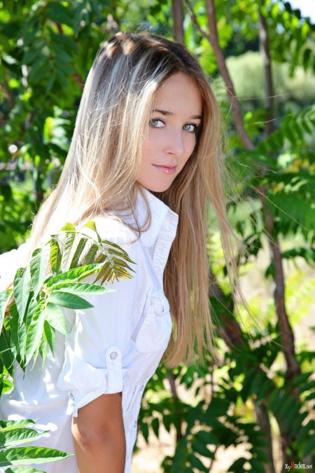 Эллис А: Летняя Красота Природы