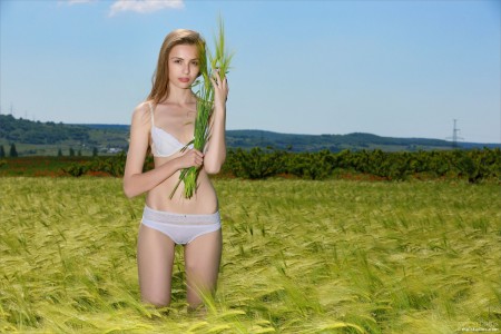 Летнее блаженство в природе с Эль А