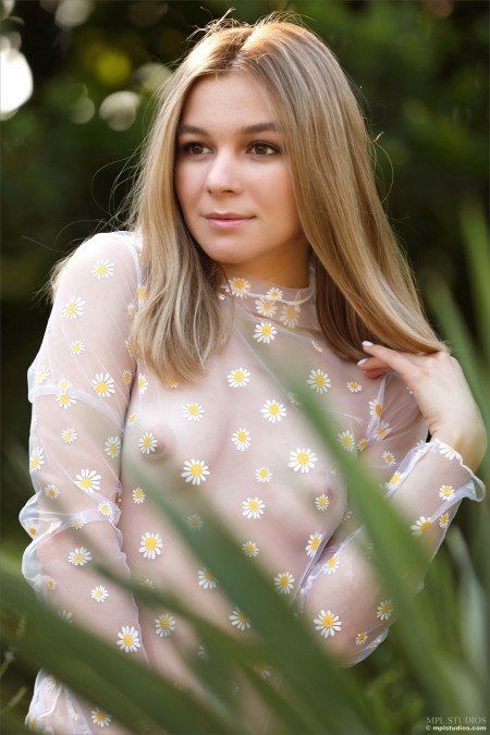 Летняя прелесть: обнаженная Стефани А в природе