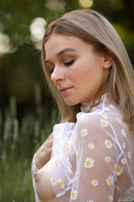 Летняя прелесть: обнаженная Стефани А в природе