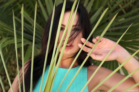 Лилиан А: Нежность лета на природе