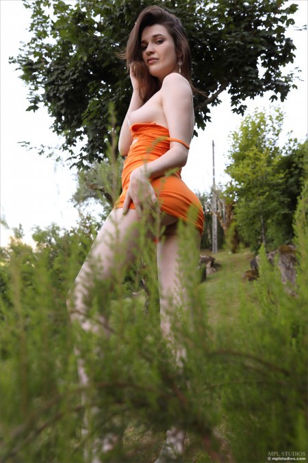 Амелия: Уютная красота лета на природе