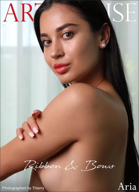 Элегантная Ариа: Сексуальность и Уют