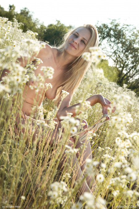 Солнечное удовольствие: Хейди на лугу